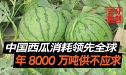沈阳吃瓜爆料是真的吗,真相还是谣言？